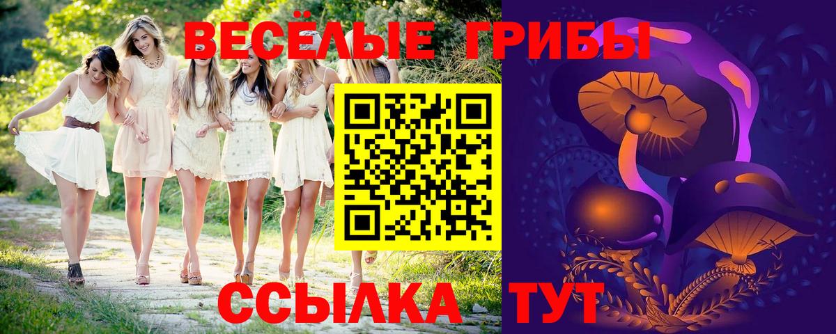 Галлюциногенные грибы GOLDEN TEACHER Кисловодск
