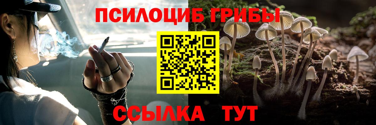 Кисловодск  Псилоцибиновые грибы мицелий  Вход с VPN 